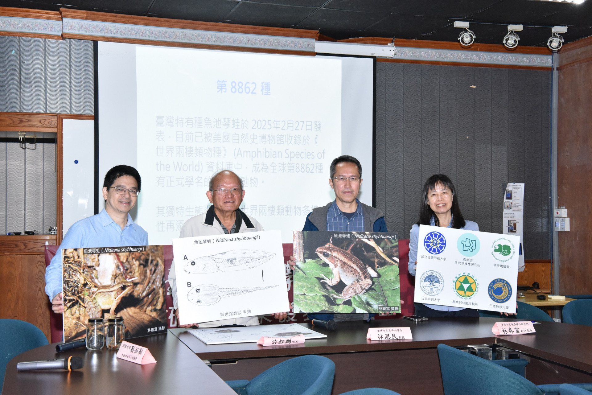 臺灣豎琴蛙確認為獨立物種 臺師大與生多所發表新物種
